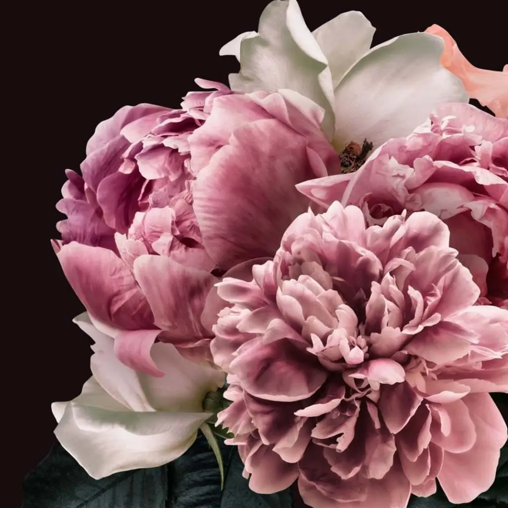 Floral