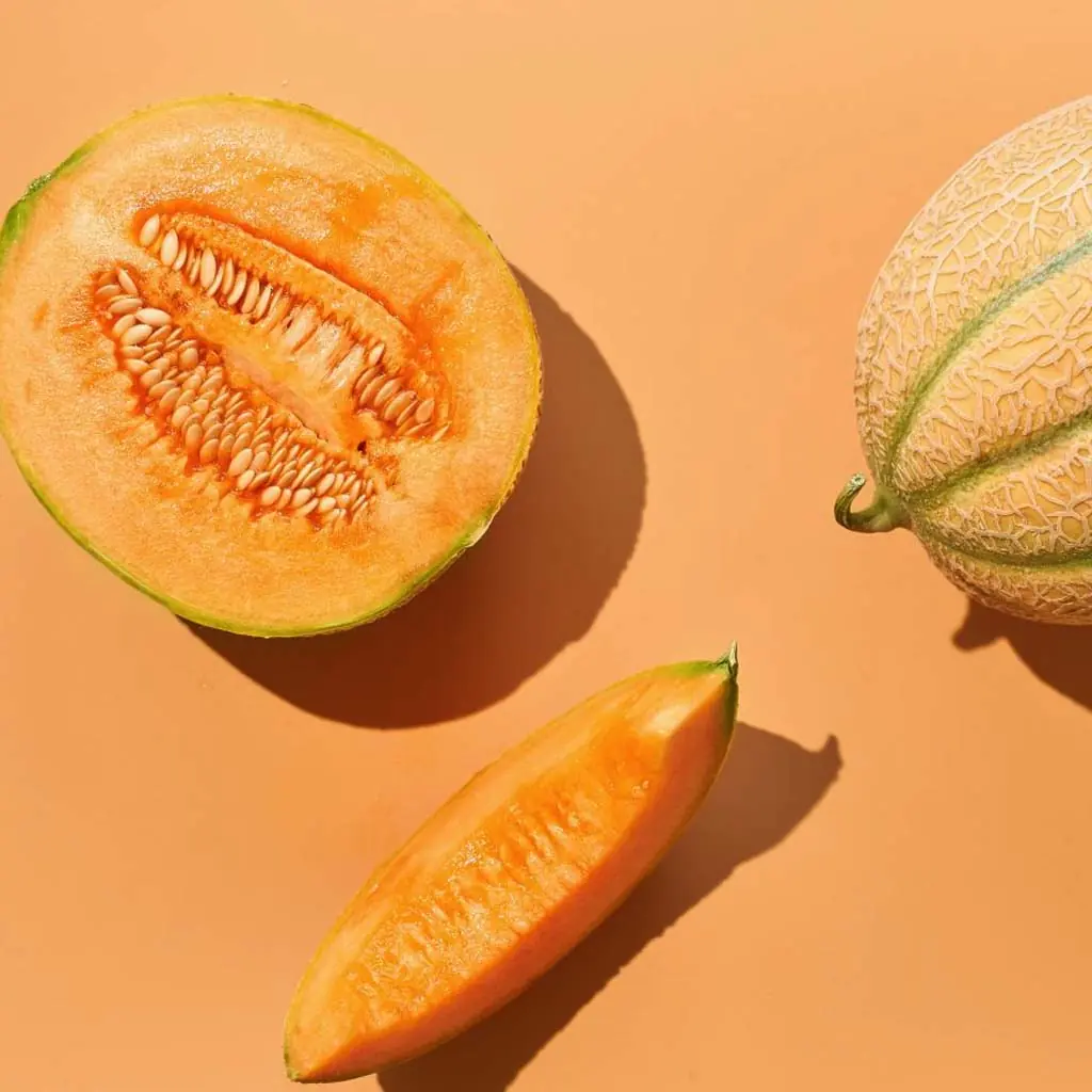 Melon