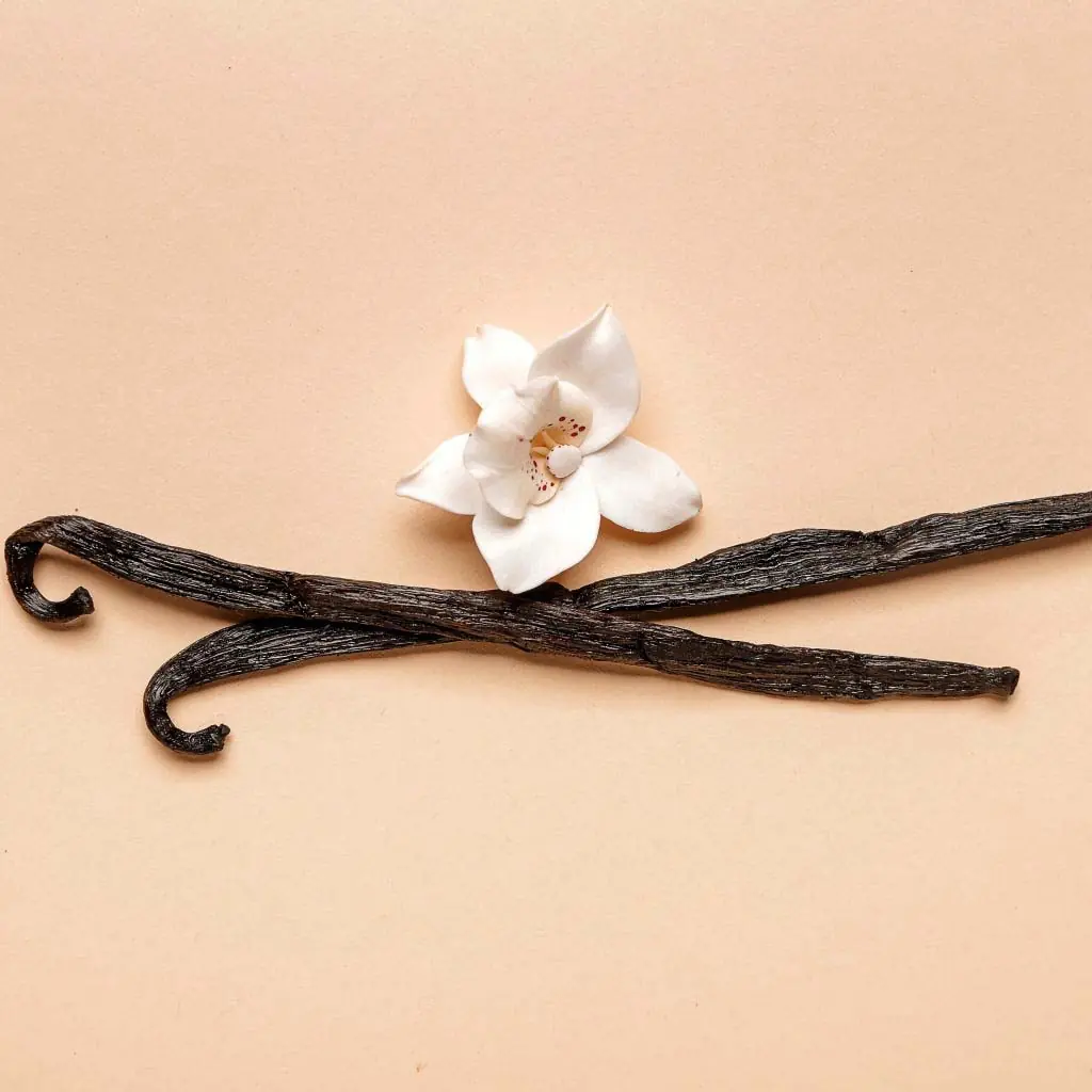 Vanilla