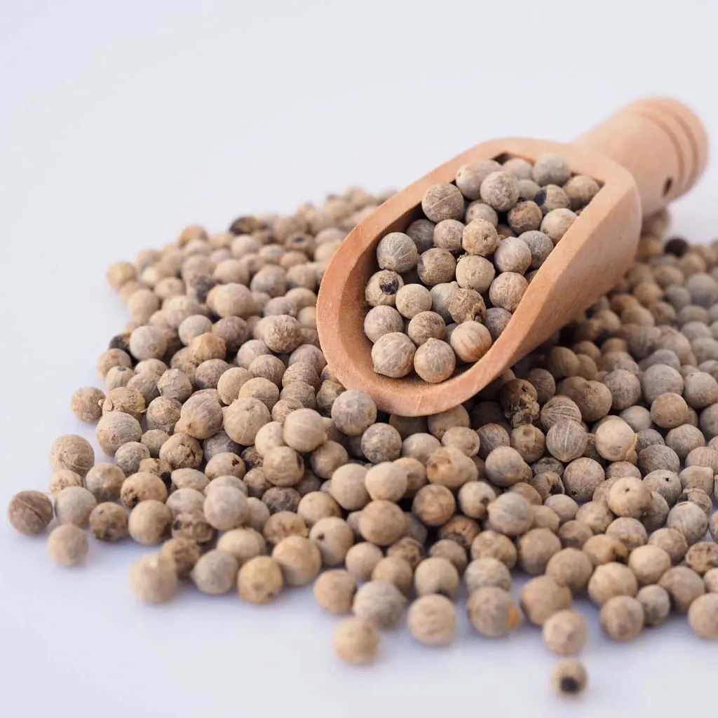 Pepper