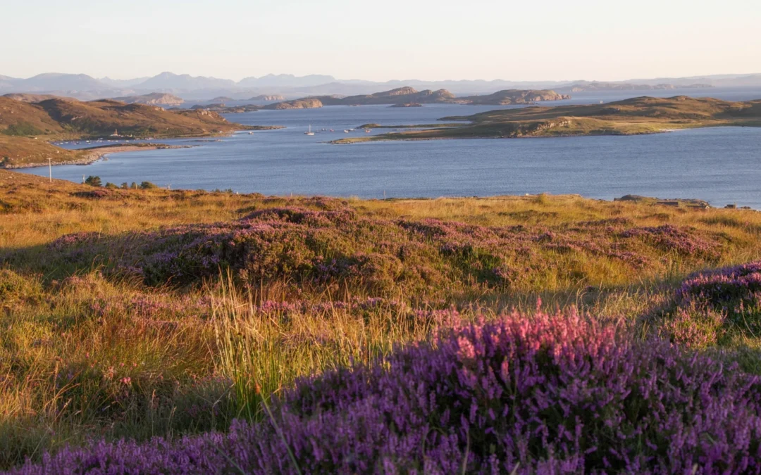 A Guide to Scotch Whisky Regions – Lowlands