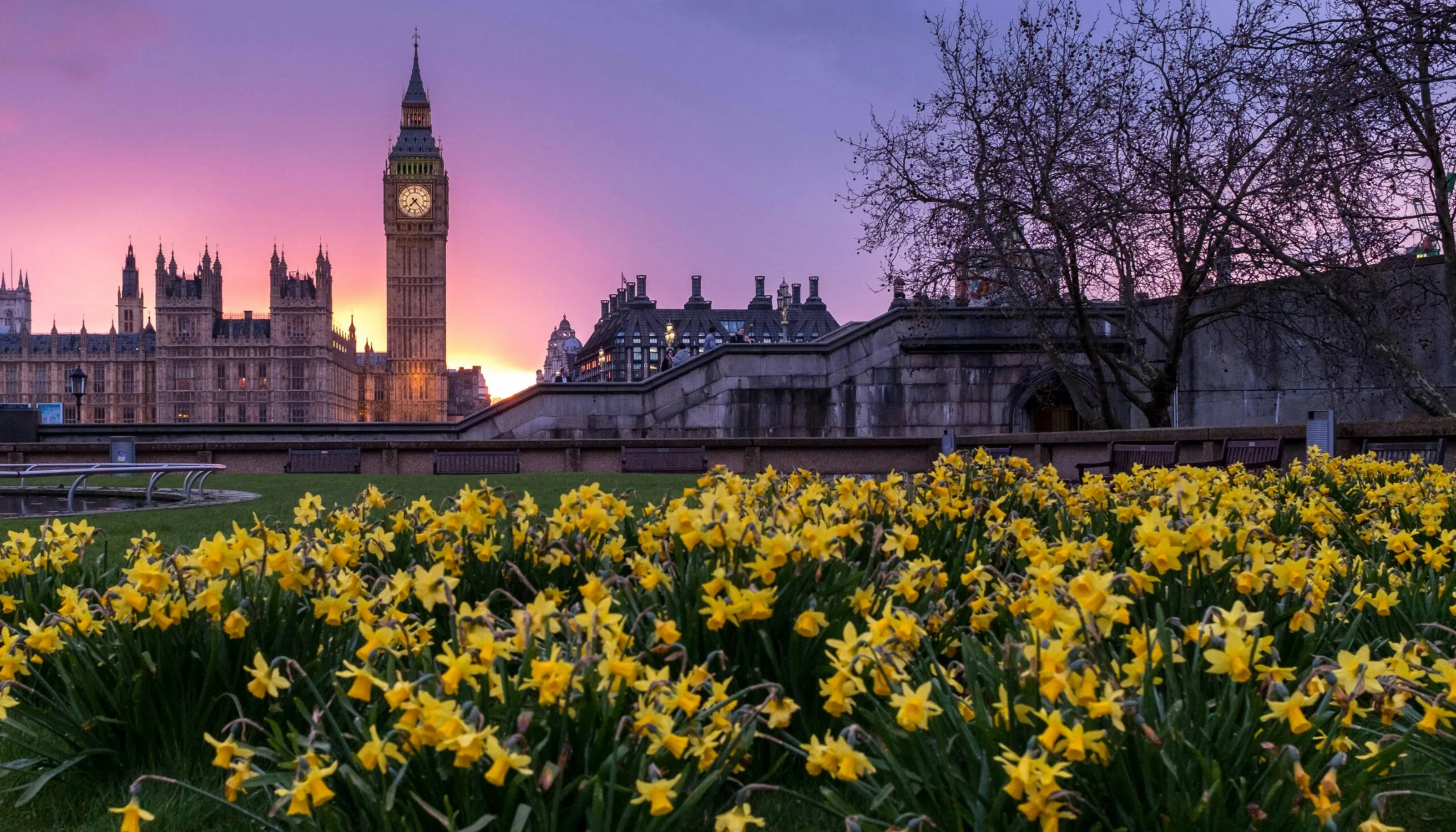 Spring Budget 2024: The Impact on Whisky Investment
