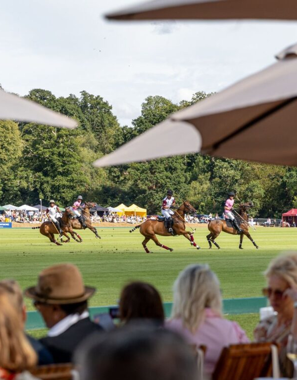 Cowdray Gold Cup Cowdray Gold Cup